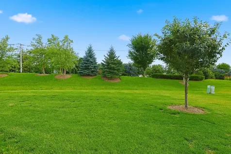 1155 Heritage Court Pingree Grove IL 60140