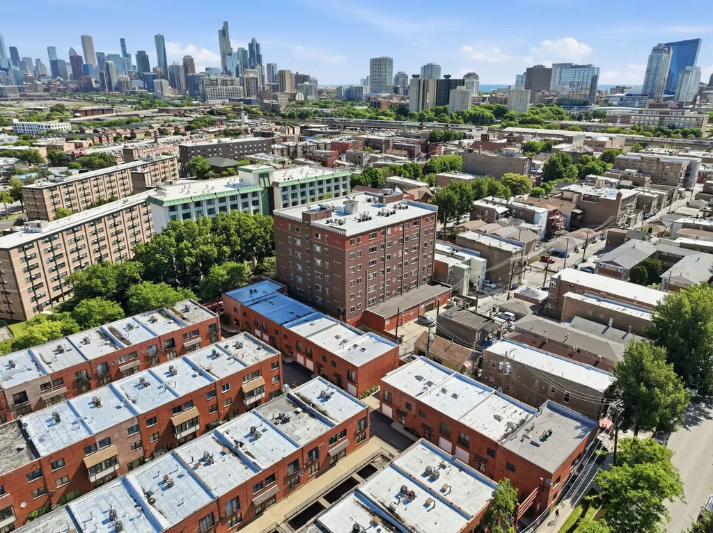 313 West 23rd Place Chicago IL 60616