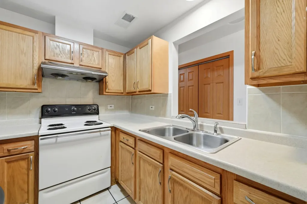 313 West 23rd Place Chicago IL 60616