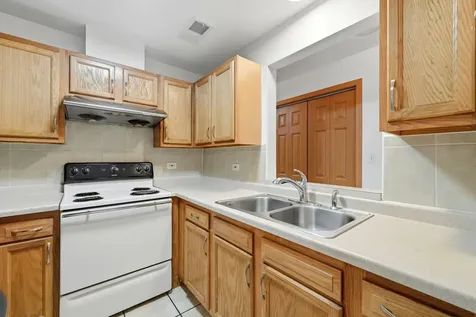 313 West 23rd Place Chicago IL 60616