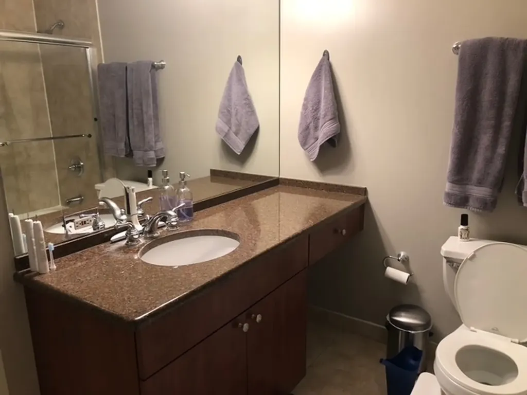 474 North Lake Shore Drive Chicago IL 60611