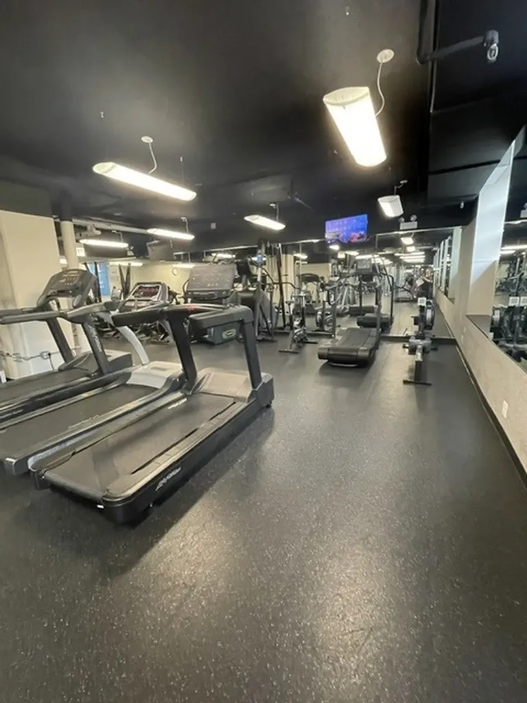 474 North Lake Shore Drive Chicago IL 60611