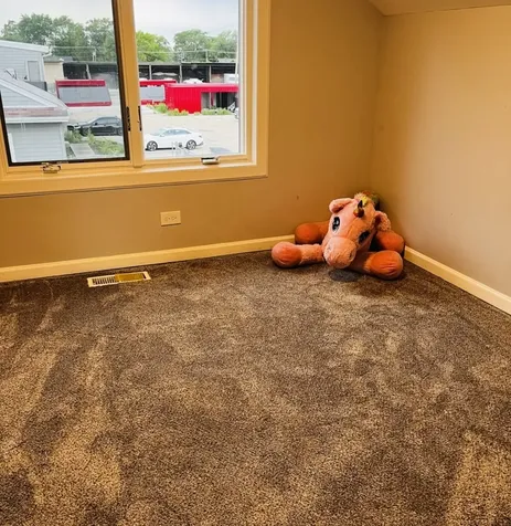 246 East 161st Place South Holland IL 60473