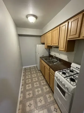 541 West Oakdale Avenue Chicago IL 60657