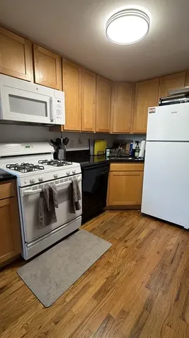 865 West Buckingham Place Chicago IL 60657
