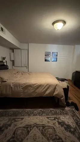865 West Buckingham Place Chicago IL 60657