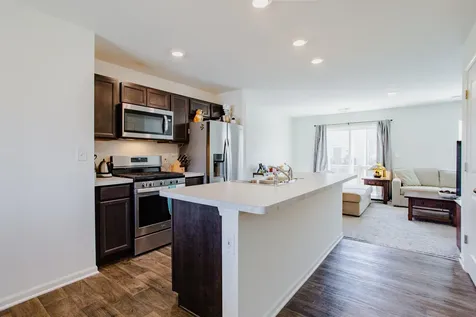 2517 Alison Avenue Pingree Grove IL 60140
