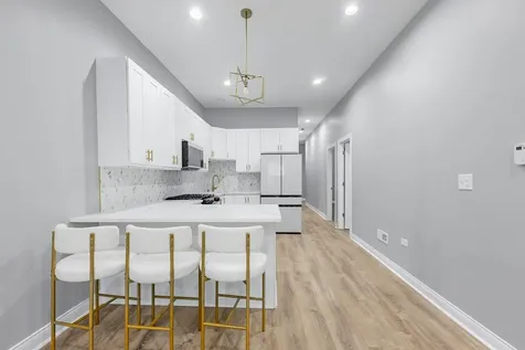 1539 South Christiana Avenue Chicago IL 60623
