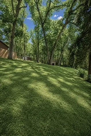 304 Wild Cherry Drive Dixon IL 61021