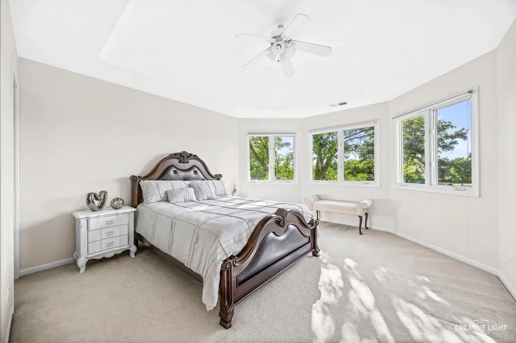 1096 Reddington Drive Aurora IL 60502