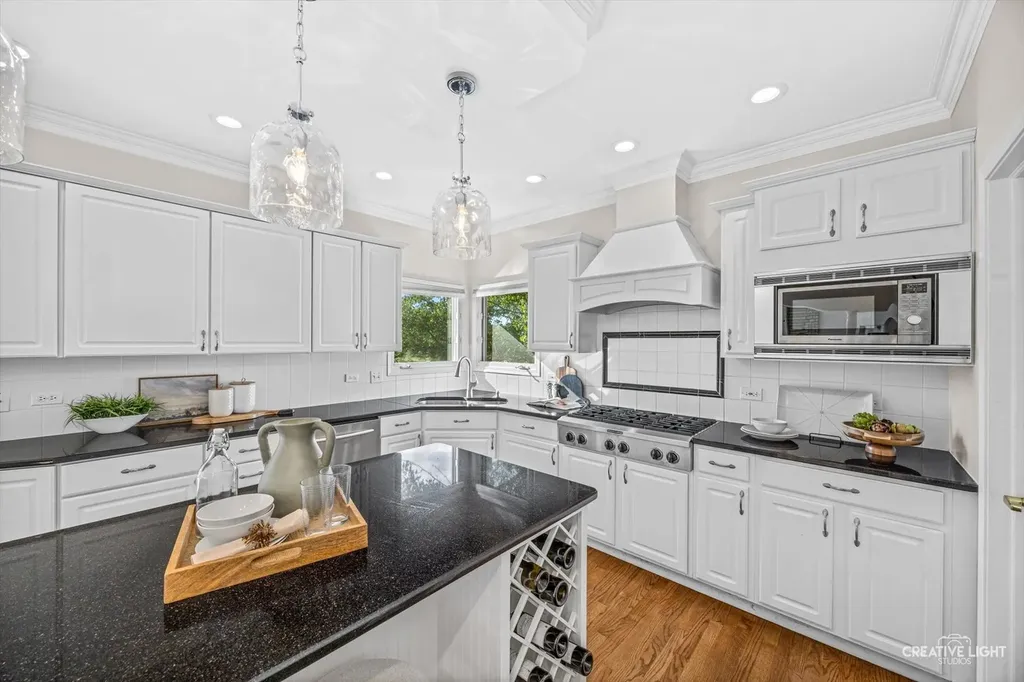 1096 Reddington Drive Aurora IL 60502