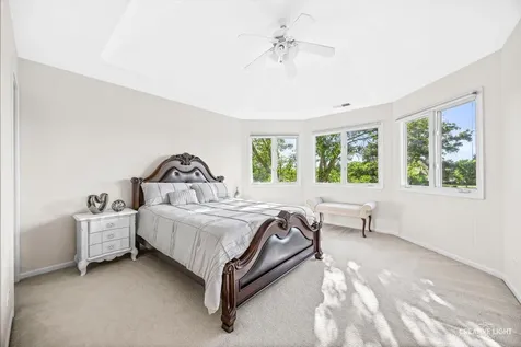1096 Reddington Drive Aurora IL 60502