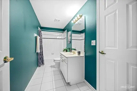 1096 Reddington Drive Aurora IL 60502