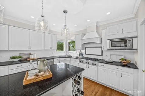 1096 Reddington Drive Aurora IL 60502