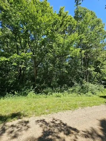 15 Navajo Court Putnam IL 61560