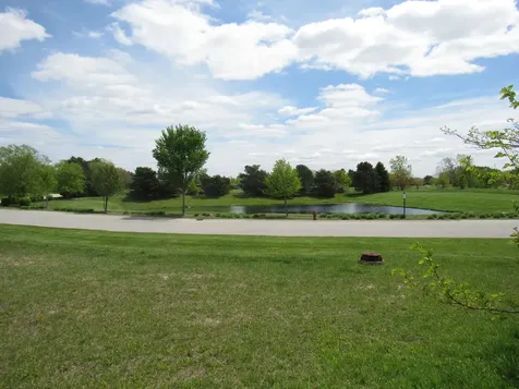 22276 Elise Boulevard Frankfort IL 60423