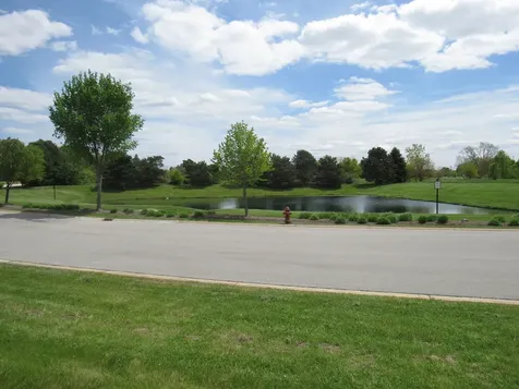 22276 Elise Boulevard Frankfort IL 60423