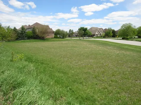 22276 Elise Boulevard Frankfort IL 60423