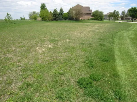 22276 Elise Boulevard Frankfort IL 60423