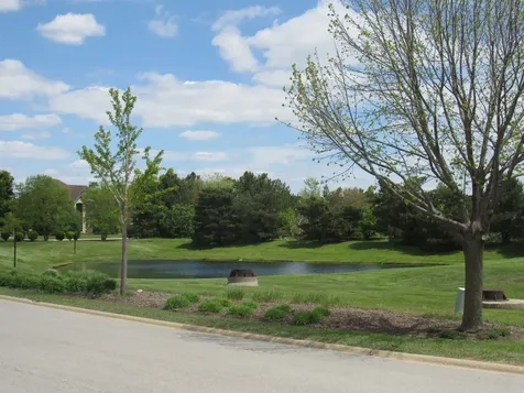 22276 Elise Boulevard Frankfort IL 60423