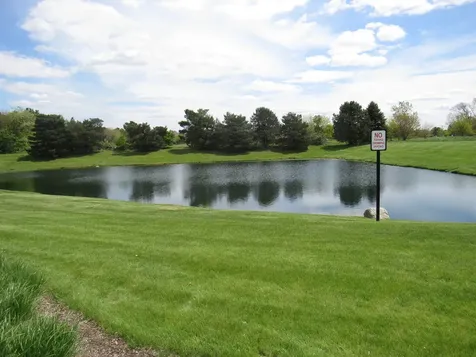 22276 Elise Boulevard Frankfort IL 60423