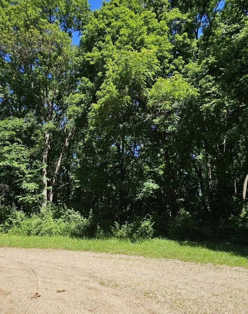 17 Navajo Court Putnam IL 61560