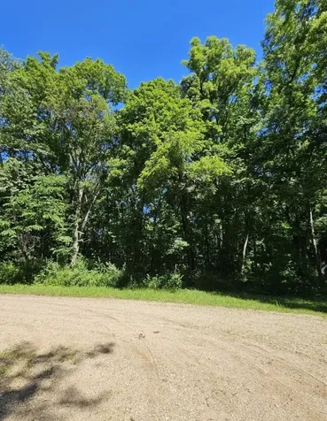 17 Navajo Court Putnam IL 61560