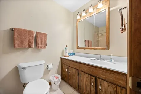 1419 Brush Hill Circle Naperville IL 60540