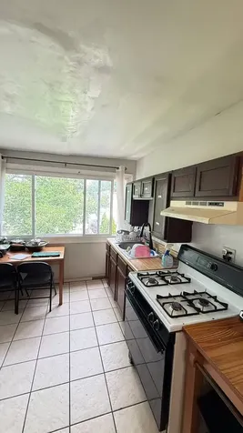906 West 36th Street Chicago IL 60609