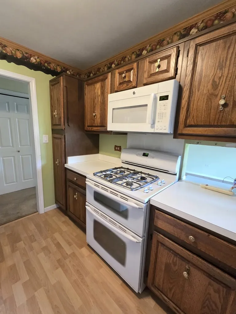 6705 Foxtree Avenue Woodridge IL 60517