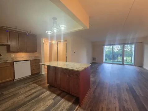 375 Plum Creek Drive Wheeling IL 60090