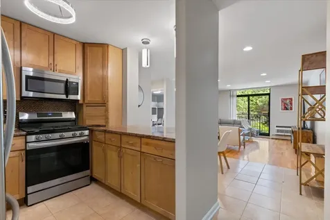 3900 North Pine Grove Avenue Chicago IL 60613