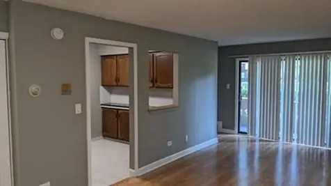 17 Parkside Court Vernon Hills IL 60061