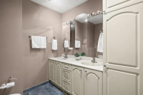 1 Maple Tree Court Elmhurst IL 60126
