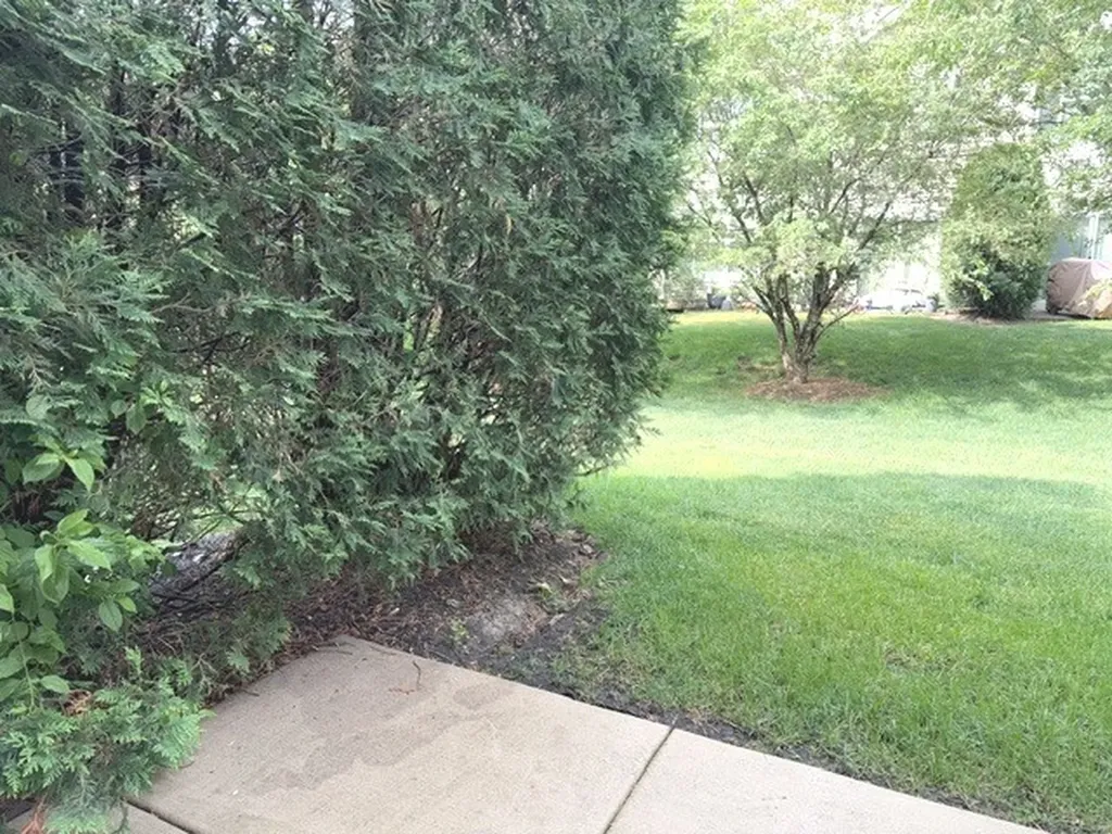 11967 Brunschon Lane Huntley IL 60142