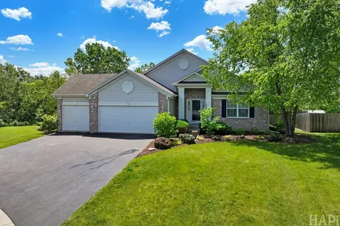 1955 West Overlook Court Round Lake IL 60073
