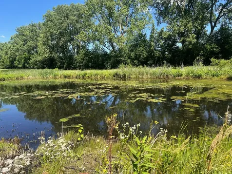 6850 West Winding Trail Oak Forest IL 60452