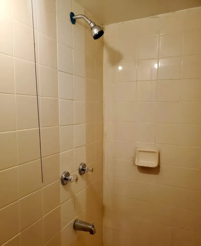 5028 West Parker Avenue Chicago IL 60639