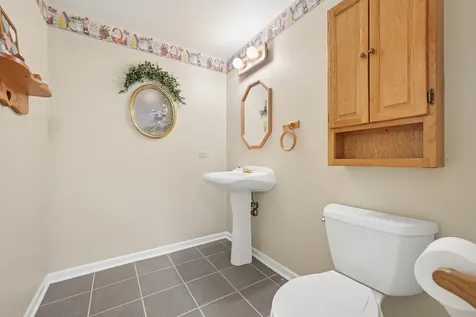 16762 South Deer Path Drive Homer Glen IL 60491