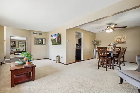 15622 South Trailside Drive Homer Glen IL 60491