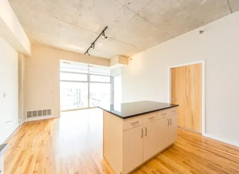 1620 South Michigan Avenue Chicago IL 60616