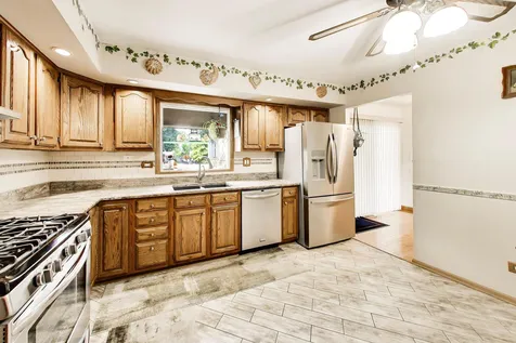10532 South Sun Valley Court Palos Hills IL 60465
