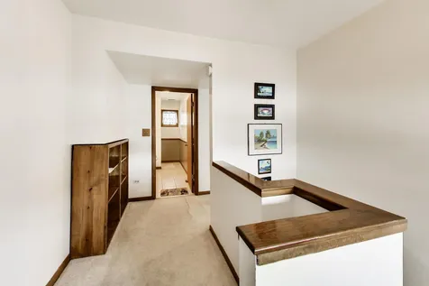 10532 South Sun Valley Court Palos Hills IL 60465