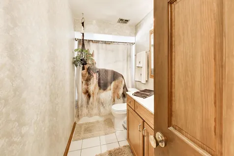 10532 South Sun Valley Court Palos Hills IL 60465