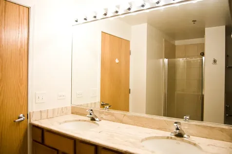 1529 South State Street Chicago IL 60605