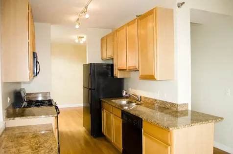 1529 South State Street Chicago IL 60605