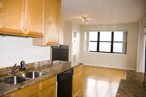 1529 South State Street Chicago IL 60605