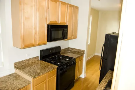 1529 South State Street Chicago IL 60605