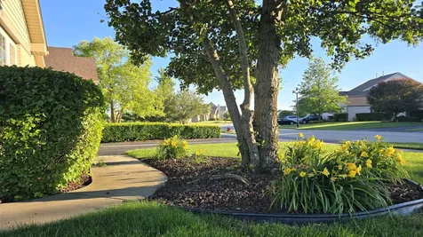 53 Odyssey Drive Tinley Park IL 60477