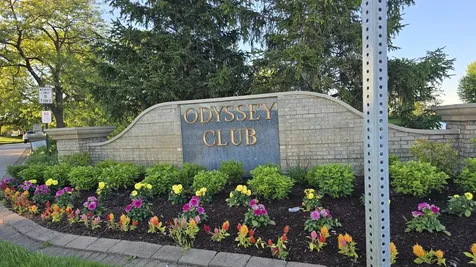 53 Odyssey Drive Tinley Park IL 60477